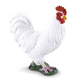 COCKEREL WHITE