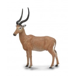 HIROLA - L - 88757 - COLLECTA