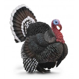 TURKEY