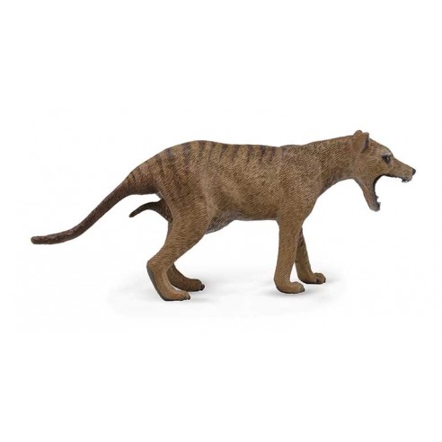 THYLACINE TIGRE DE TASMANIA HEMBRA -...