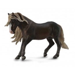 CABALLO STAILLON BLACK...