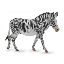 GREVY'S ZEBRA