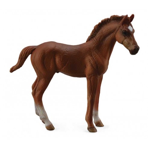 THOROUGHBRED FOAL STANDING - CHESTNUT