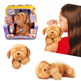 SLEPPY PUPPY 7/13210 LITTLE...