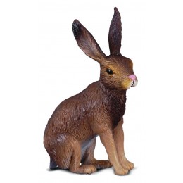 BROWN HARE