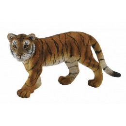 TIGER CUB (WALKING)