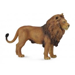 AFRICAN LION
