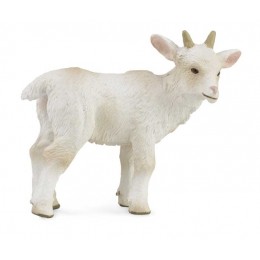 GOAT KID - STANDING