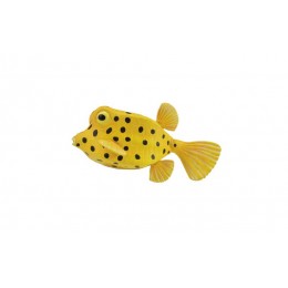 BOXFISH