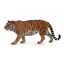 SIBERIAN TIGER