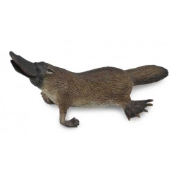 PLATYPUS