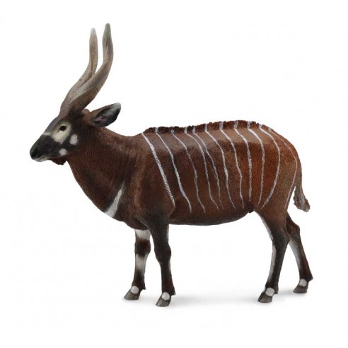 BONGO ANTELOPE