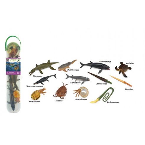 TUBO ANIMALES MARINOS PREHISTORICOS -...