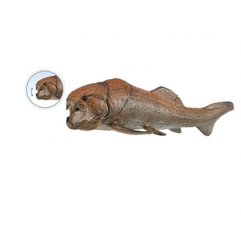 DUNKLEOSTEUS WITH MOVABLE JAW -...