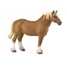 BELGIAN MARE CHESTNUT