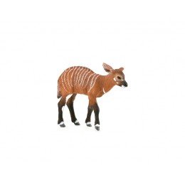 CACHORRO DE BONGO - M -...