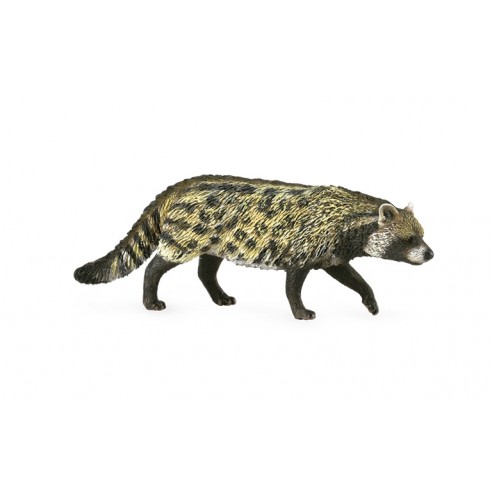 AFRICAN CIVET