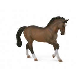 WARMBLOOD STALLION - BAY