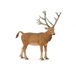 PÈRE DAVID'S DEER