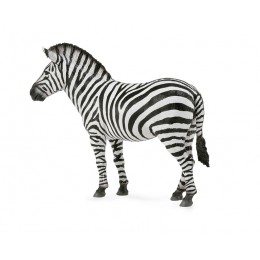 CEBRA COMUN - L - 88830 -...