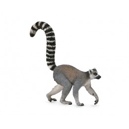 LEMUR CON COLA ANILLADA - M...