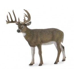 WHITE-TAILED DEER