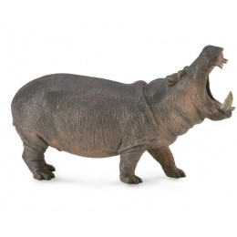 HIPPOPOTAMUS