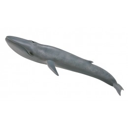 BLUE WHALE
