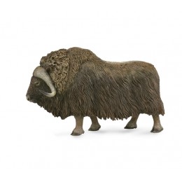 MUSK OX