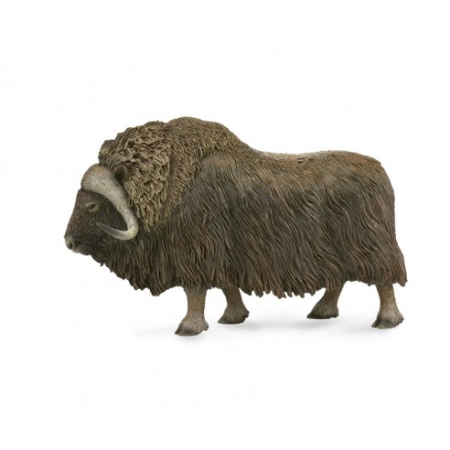 MUSK OX