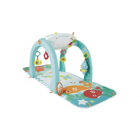 OCEAN GYM 4 IN 1 FISHER PRICE FXX12...