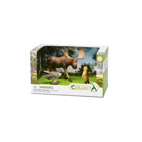 WILDLIFE FOREST - 3PCS IN OPEN BOX -...