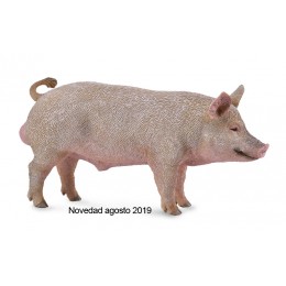 CERDO MACHO - M - 88864 -...