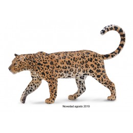 LEOPARDO AFRICANO - XL -...