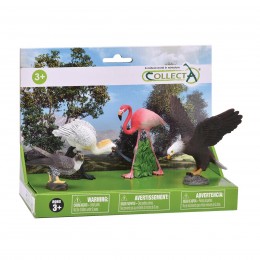 SET DE VIDA SALVAJE 4...