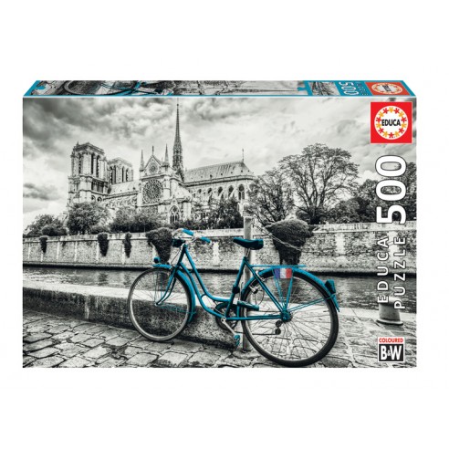 PUZZLE 500 BICYCLE NEAR NOTRE DAME...
