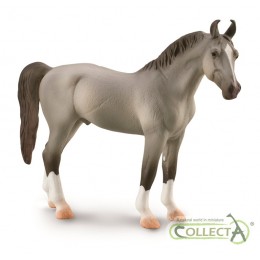 MARWARI STALLION - GREY