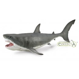 MEGALODON CON MANDIBULA...
