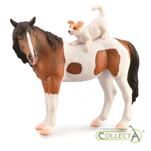 SKEWBALD MARE WITH TERRIER