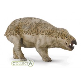 LISOWICIA BOJANI WITH...