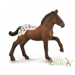 SUGARBUSH DRAFT FOAL