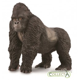 MOUNTAIN GORILLA