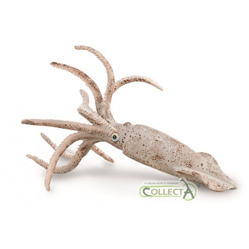 BELEMNITE - L - 88904 - COLLECTA