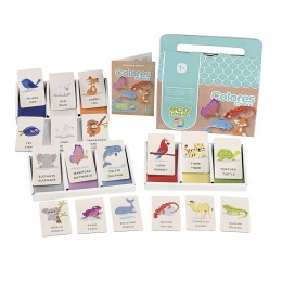 ECO LOGIC COLORES 21760 CEFA