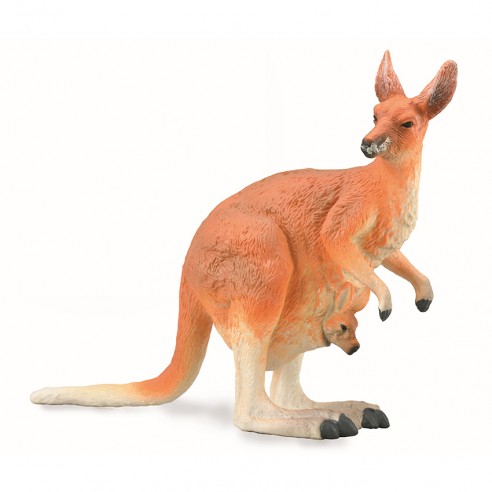 RED KANGAROO - FEMALE WITH JOEY