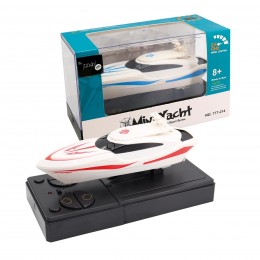 RC YACHT ASSORTED COLORS...