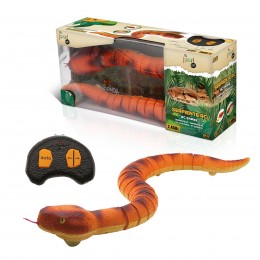 SNAKE RC TACHAN