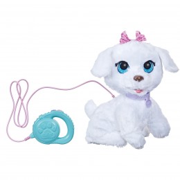 GOGO, MI PERRITO BAILARIN...