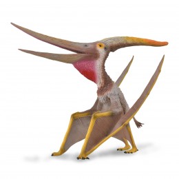 PTERANODON CON MANDIBULA...