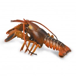 LOBSTER - DELUXE